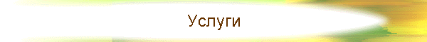 Услуги